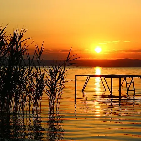 Nefelejcs Nyaraló *